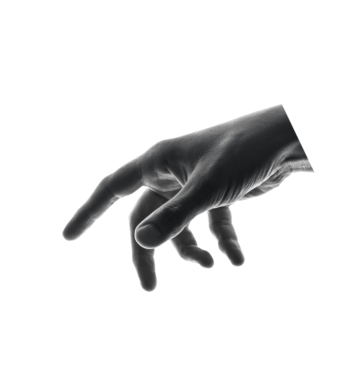 Hand illustration