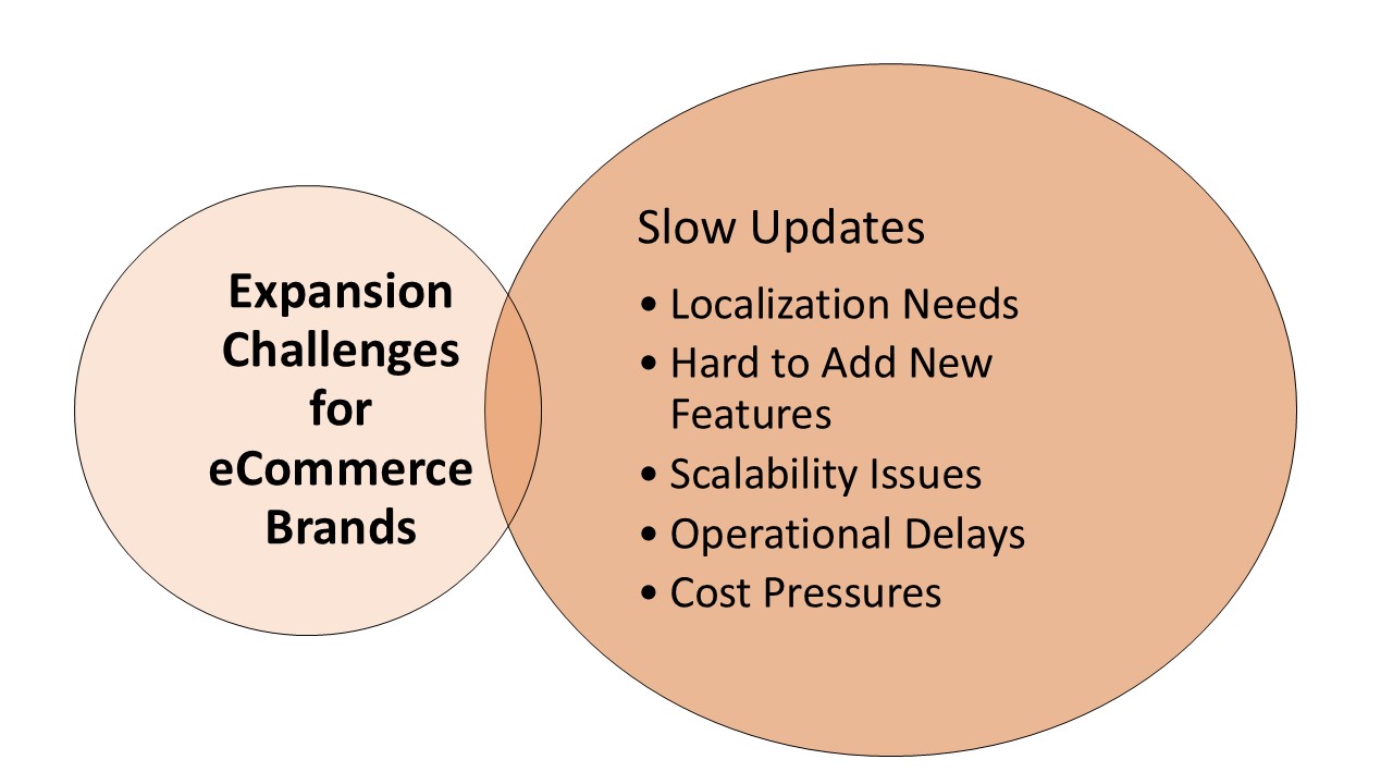 illustrating challenges faced by e-commerce brands during expansion